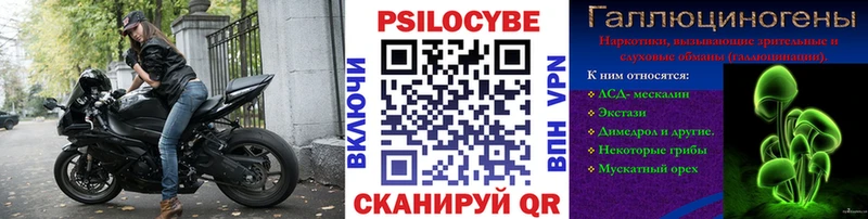 Псилоцибиновые грибы прущие грибы  Сухиничи 
